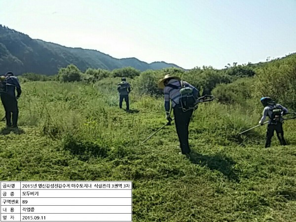 0384a6cc8bfe296005b10a515f91298a_1546761402_0432.jpeg