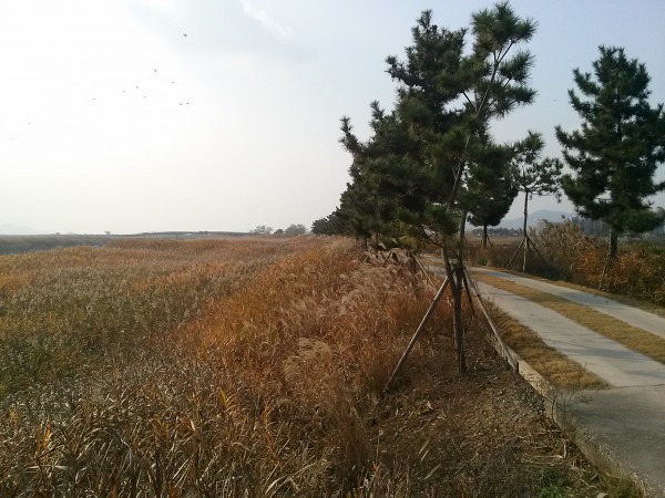 6d28ab1993f3174dc4a598dee3776676_1546676943_0795.jpg