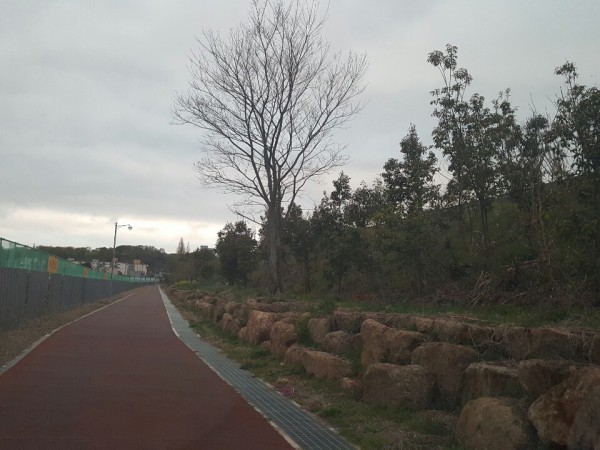 5c1ed35d762b783fb17091dbdf9ad809_1562045329_5626.jpg